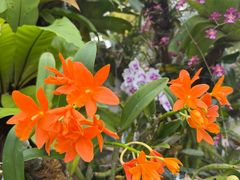 -北京植物园-展览温室