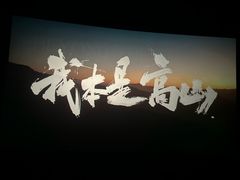-沃美影城蜀山万象汇店(WMX巨幕)