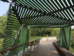 -西湖风景区-江洋畈生态公园