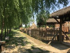 -长兴太湖图影湿地文化园