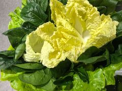 -古乐牛香·鲜牛肉牛杂火锅(梅村五洲国际店)