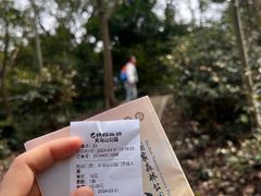 -上海佘山国家森林公园天马山园