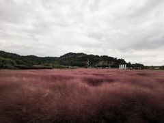 -蛇蟠岛