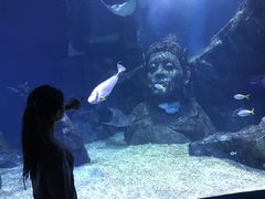 -暹罗海洋世界