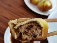 -朱新年·苏式汤团·面点(北寺塔店)