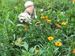 -白鹭湾湿地公园