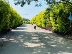 -金谷域澳洲庄园