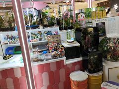 -CAKE BOSS 蛋糕老板(北京世纪金源购物中心)