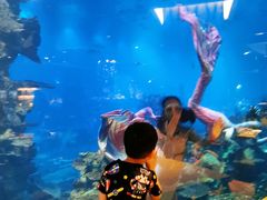 -海棠湾洲际-涛·海底餐厅·美人鱼·自助餐·海底隧道