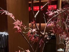 -揽季锅物会.福建黄鱼.海鲜姿造(五四路店)