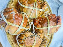 -蟹天蟹地农家菜·阳澄湖大闸蟹(浅水湾店)