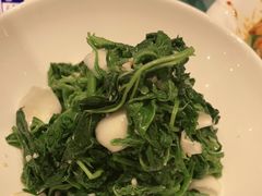 -紫光园·烤鸭·北京菜(劲松店)