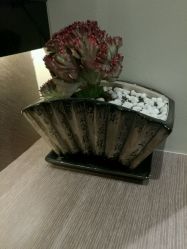 -扎嘎形象设计