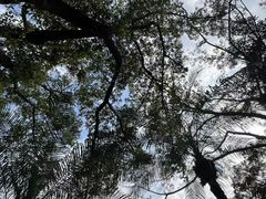 -晓港公园