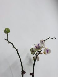 -印·salon烫染专业店