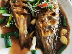 -鸿运美食府