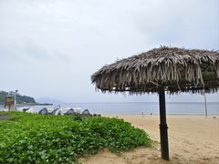 -东澳岛
