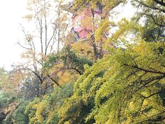 -四川大学(华西校区)