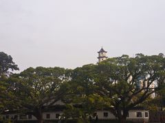 -江心屿景区