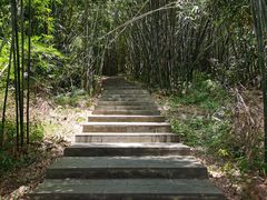 -羚羊峡古栈道森林公园