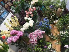 -北马山庄植趣咖啡