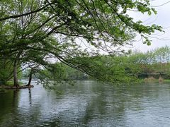 -西溪南古村落景区