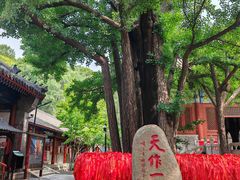-红螺寺