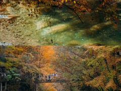 -光雾山旅游景区