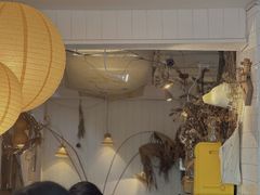 -野草莓自由市场