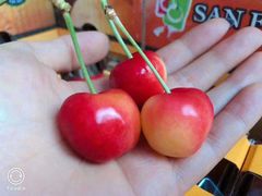 -上海龙吴水胜海发市场