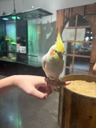 -Zoolung Zoolung动物主题公园(海信广场店)