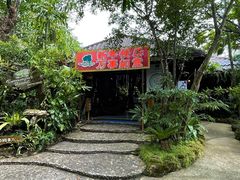 -绿光森林餐厅