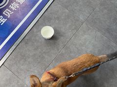 -宠颐生宠物医院·犬猫全科·皮肤科(商业街店)