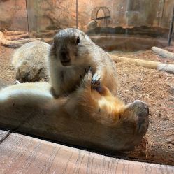 -Zoolung Zoolung动物主题公园(海信广场店)