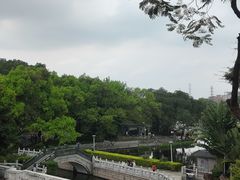 -荔湾湖公园