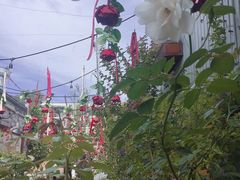 -The Grounds of Alexandria