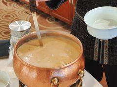 陶高奶茶-巴音浩日娲酒楼(双林东路店)