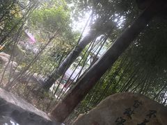 -观唐（国际）度假村温泉