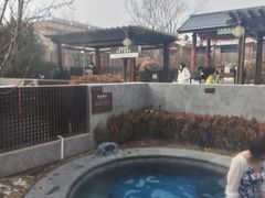 -白桦林温泉谷