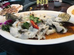 桂花鱼-御膳粥·牛乳粥底火锅·地道顺德菜(容桂店)