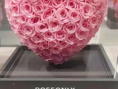 -ROSEONLY诺誓(国际广场购物中心店)