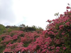 -木兰云雾山
