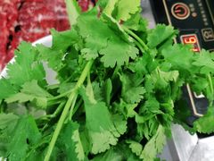 -陈记顺和潮汕牛肉火锅(番禺迎宾大道店)