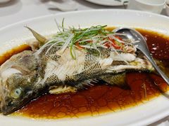-新吉士·上海菜(浦东LCM置汇旭辉店)