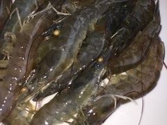 -银鲨海鲜烤肉火锅自助餐厅(五星店)