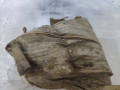 -鼓浪邻家·沙茶面(鼓浪屿店)