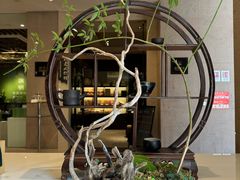 -桃源咖啡厅(武夷山大红袍山庄店)