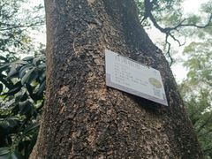 -广州市白云山风景名胜区