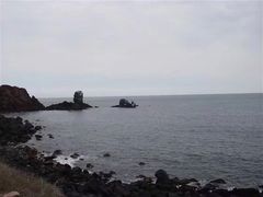 -涉地可支