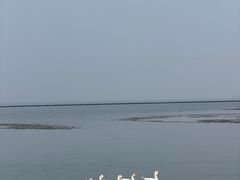 -美味之家·湖景农家乐(太湖东山店)